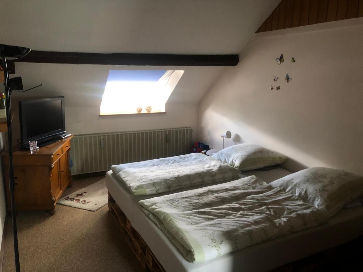 Ironico Homestay 4 Schlafzimmer Ferienwohnung 100 M2 Nahe Bostalsee Eisen  Exteriér fotografie